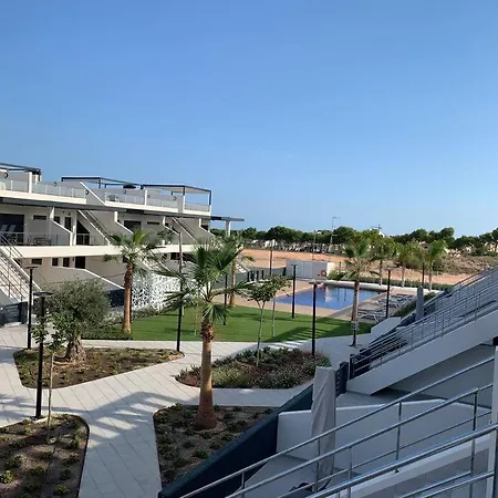 Paradise In The Sunny Martin
